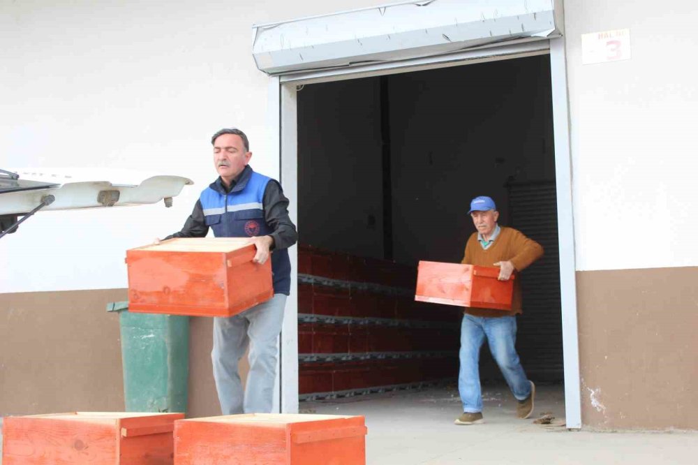 Osmaneli’nde Arıcılara Yüzde 50 Hibe Destekli 134 Arı Kovanı Dağıtıldı