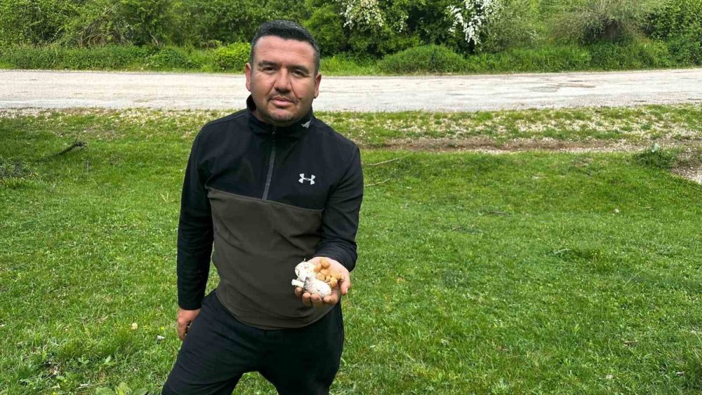Bilecik Ormanlarında Son 50 Yılın En Fazla Mantarı Fışkırıyor