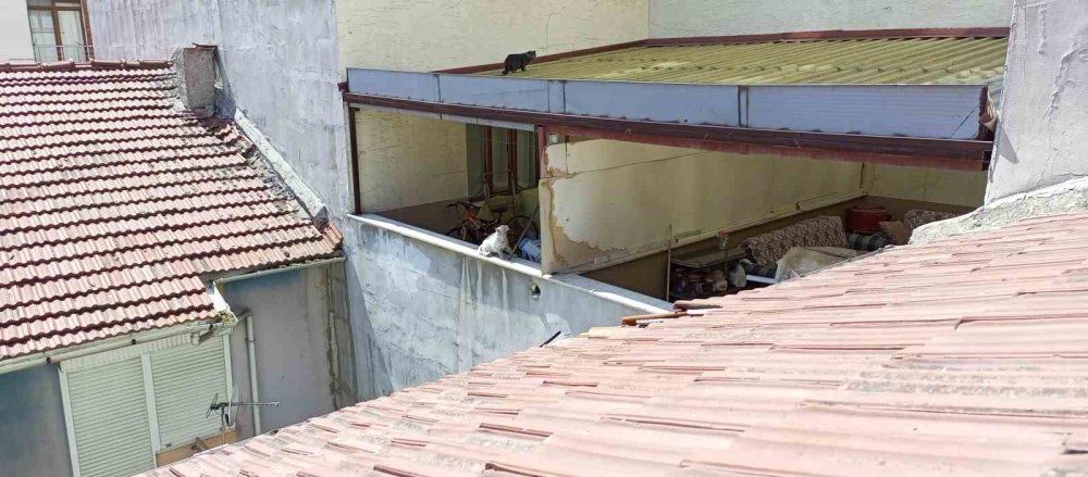 Bir Haftadır Çatıda Olan Kedi Kurtarılmayı Bekliyor