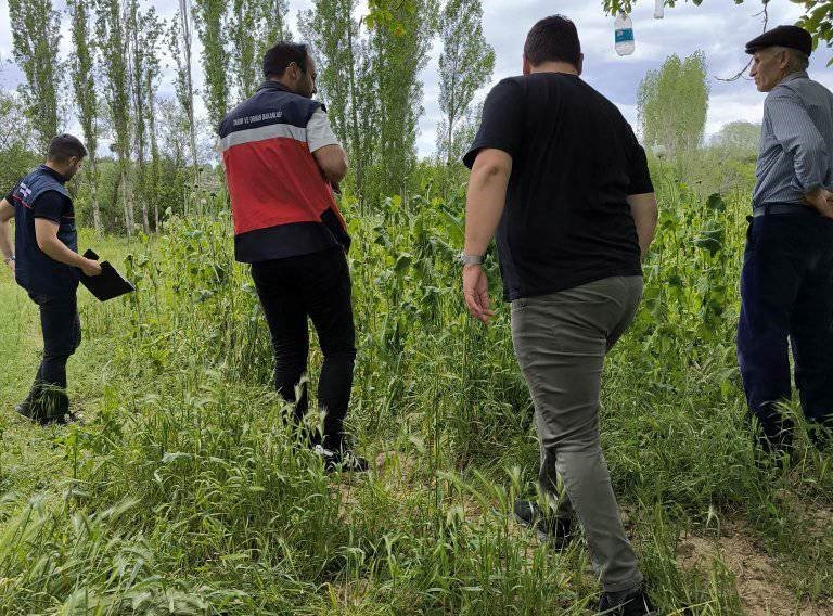 Doludan Etkilenen Ekili Alanlarda Hasar Tespit Çalışmaları