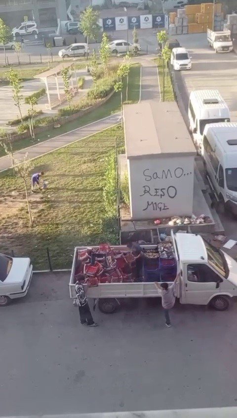 Yok Böyle İsraf: Kilosu 100 TL Çilekleri Kasa Kasa Çöpe Döktü