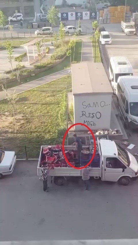 Yok Böyle İsraf: Kilosu 100 TL Çilekleri Kasa Kasa Çöpe Döktü