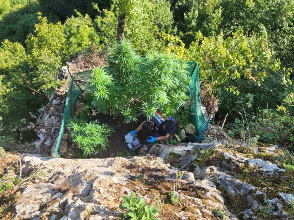 Jandarmadan Uyuşturucu Operasyonları: 6 Tutuklama