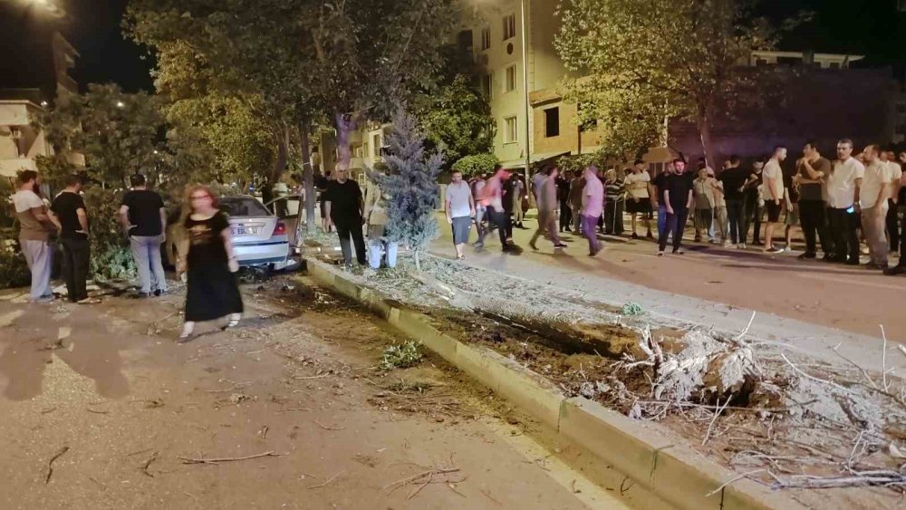 Direksiyon Hakimiyetini Kaybetti, Ağaca Çarptı