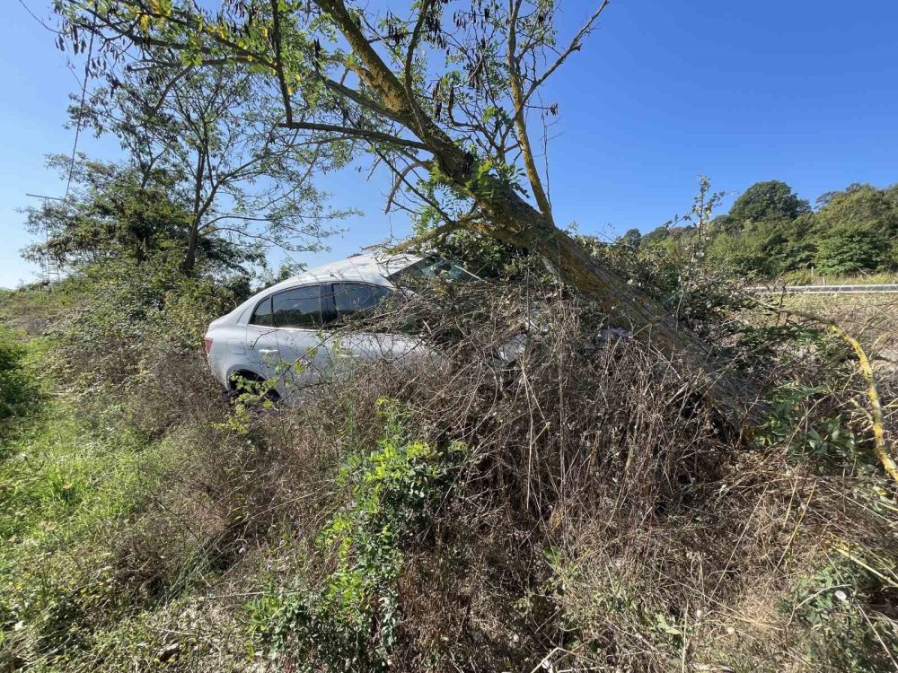 Kontrolden Çıkan Otomobil, Yoldan Çıkarak Tarlaya Girdi