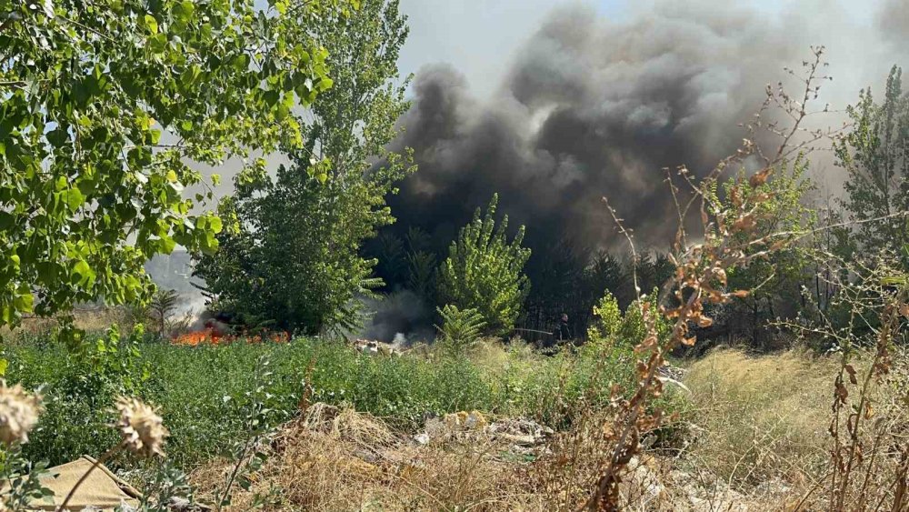Korkutan Yangın : Odun Depoları Tehlike Altında