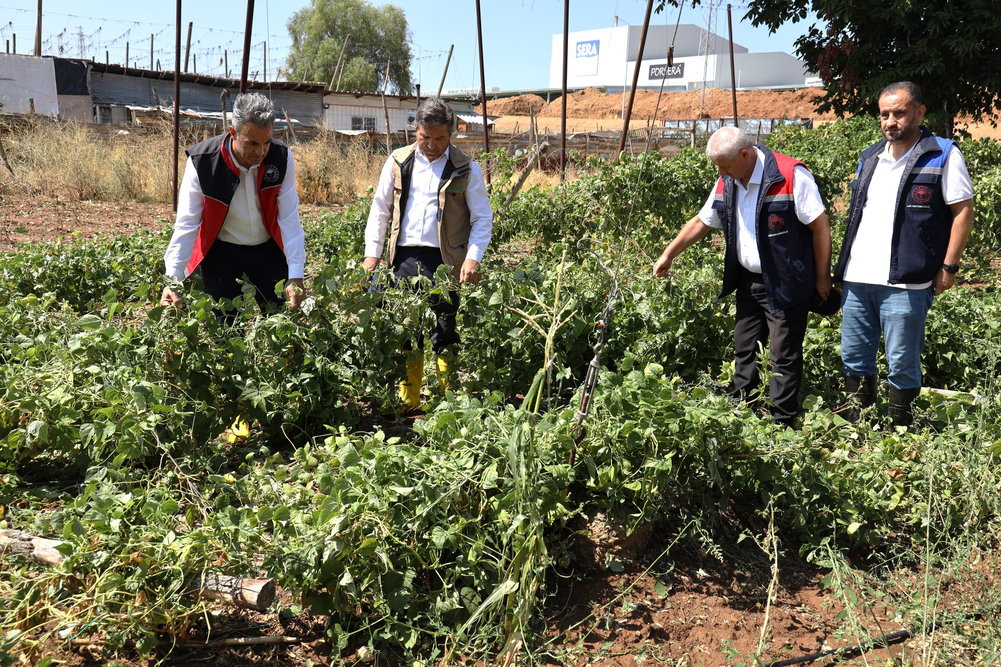 dolu-ve-saganak-tarim-arazilerini-vurdu.jpg