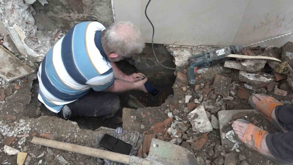 Yavru Kedi 7 Saatlik Operasyonla Kurtarıldı
