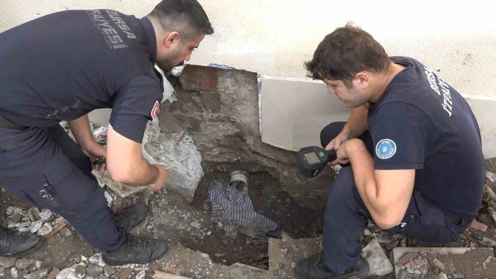 Yavru Kedi 7 Saatlik Operasyonla Kurtarıldı
