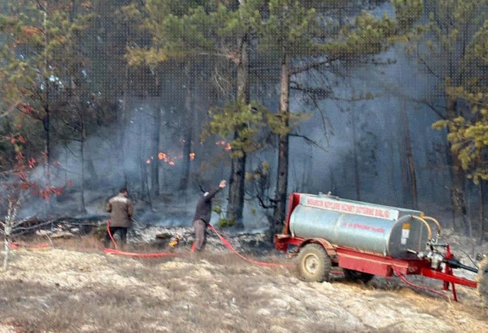 Orman Yangınları Korkuttu
