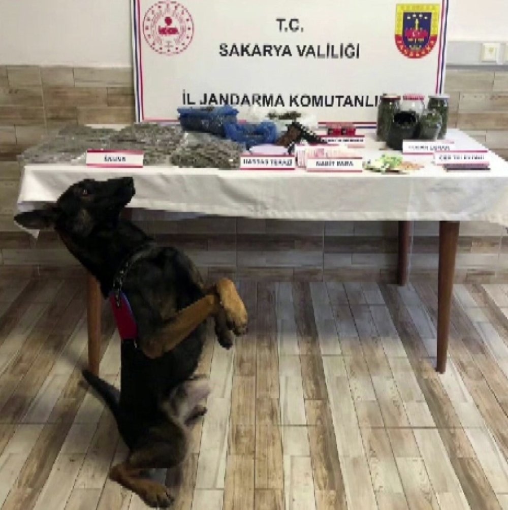 Jandarmadan 10 İlçede Operasyon: 16 Tutuklama