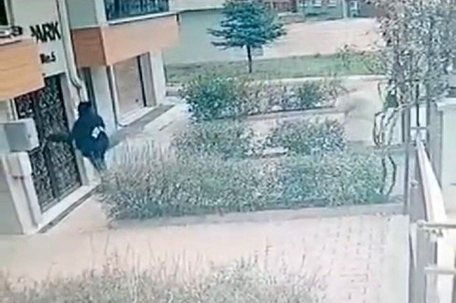 Apartmana Giremeyen Hırsızlık Şüphelileri Kamerada