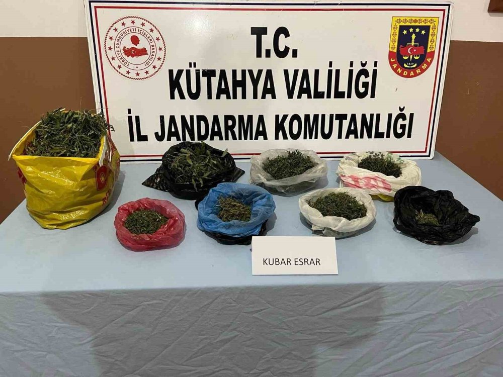 Jandarmadan Uyuşturucu Operasyonu