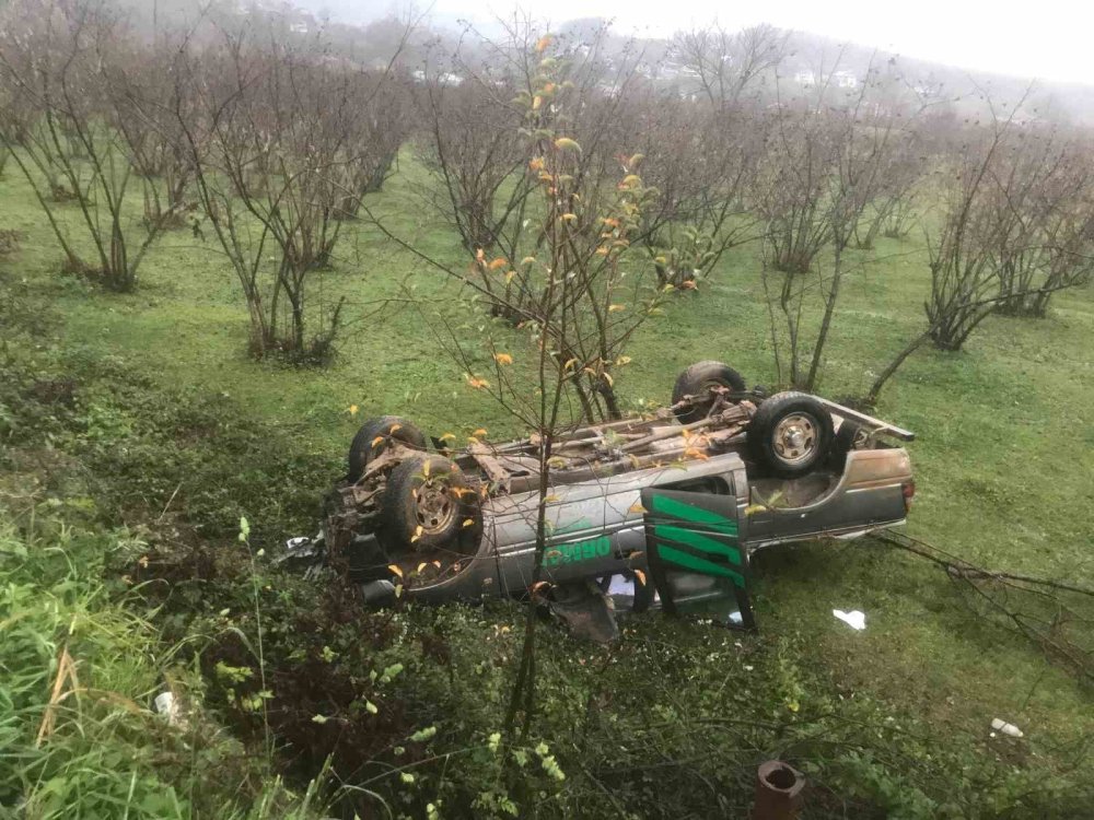 Kontrolden Çıkan Kamyonet Tarlaya Devrildi