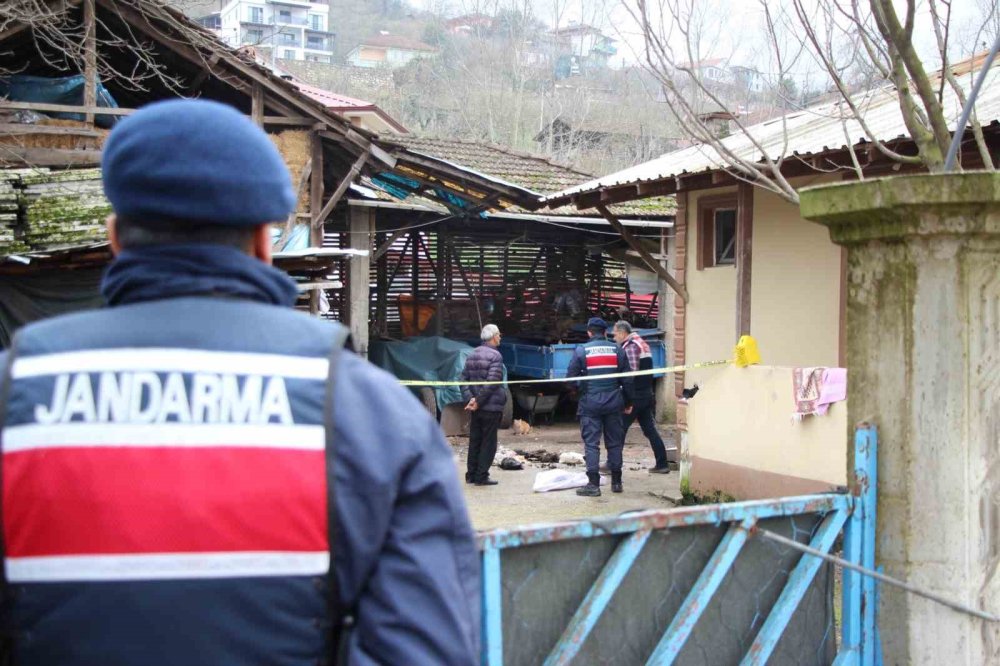 Horozları annesi tarafından komşuya verilen şahıs tüfekle dehşet saçtı