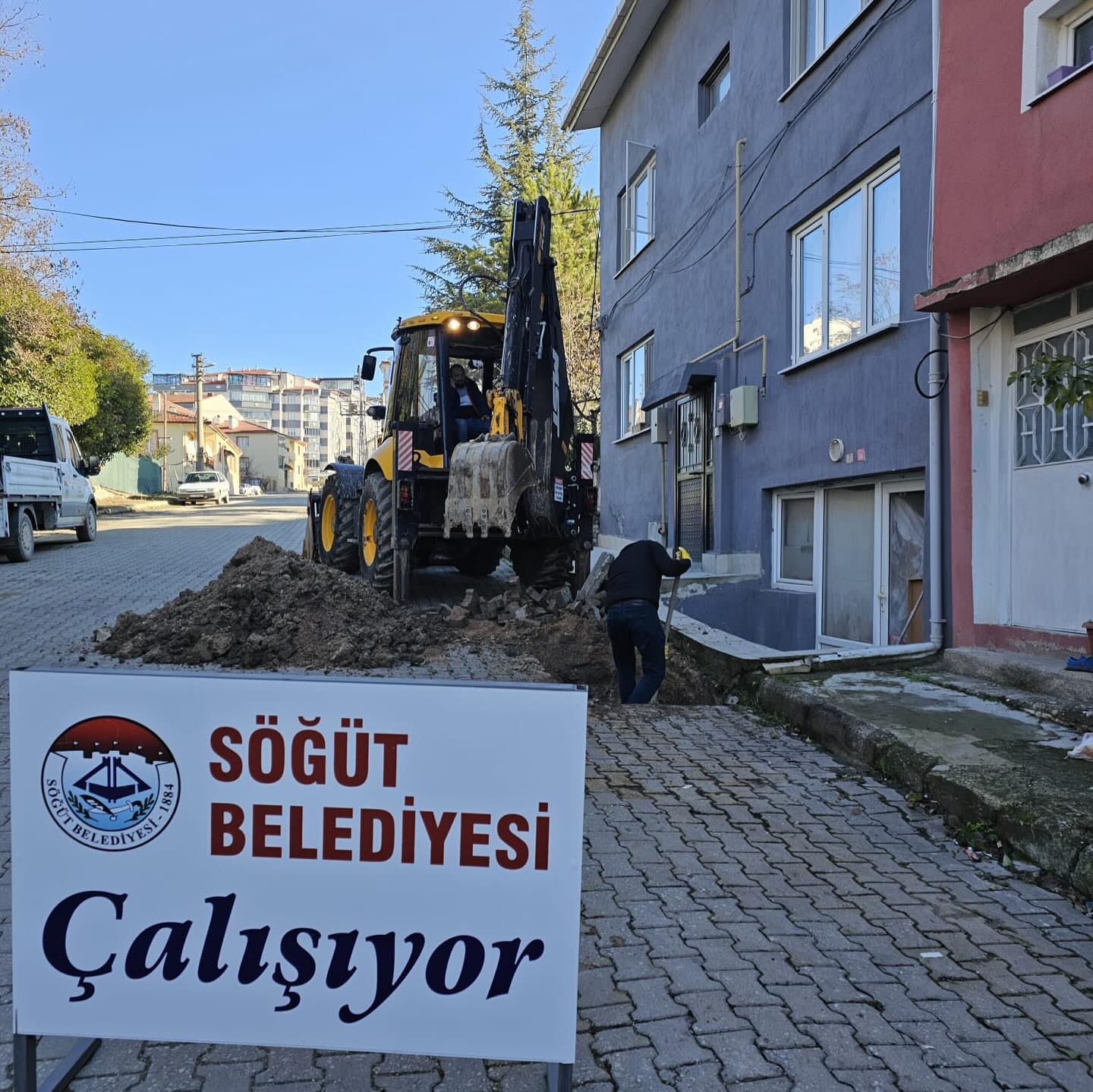 sogut1.jpg