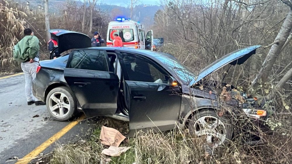 Yabancı Uyruklu Şahısların İçinde Bulunduğu Otomobil Ağaca Çarptı: 1 Yaralı