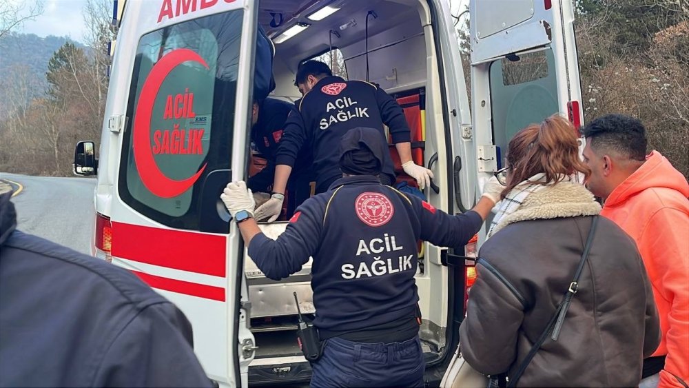 Yabancı Uyruklu Şahısların İçinde Bulunduğu Otomobil Ağaca Çarptı: 1 Yaralı