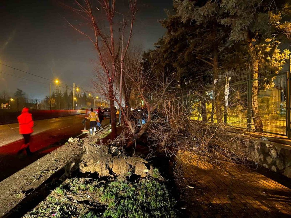 Trafikte Makas Atan Araç Önce Ağaca, Ardından Aydınlatma Direğine Çarptı