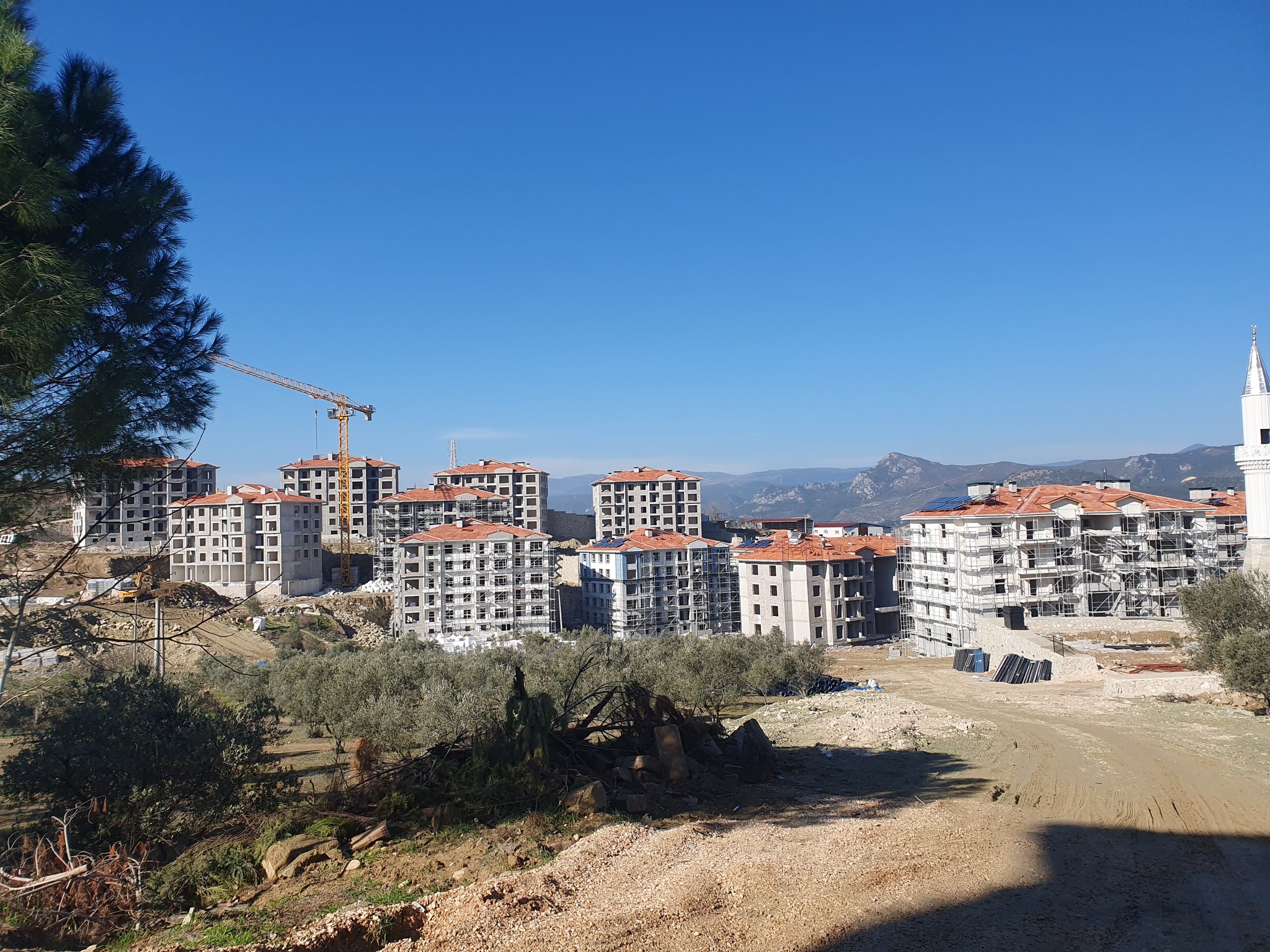 osmaneli-tokilerde-sona-dogru3.jpg