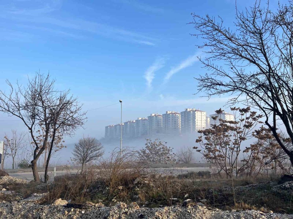Yoğun Sis Etkili Oldu