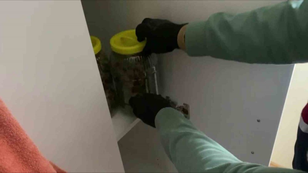 Evin Odasına Sera Kurup Çamaşırlığa Uyuşturucu Astılar