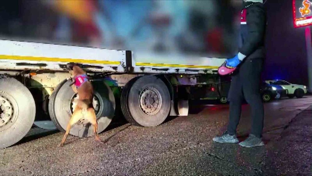 Piyasa Değeri 2 Buçuk Milyon Olan Kaçak Tütün Yakalandı