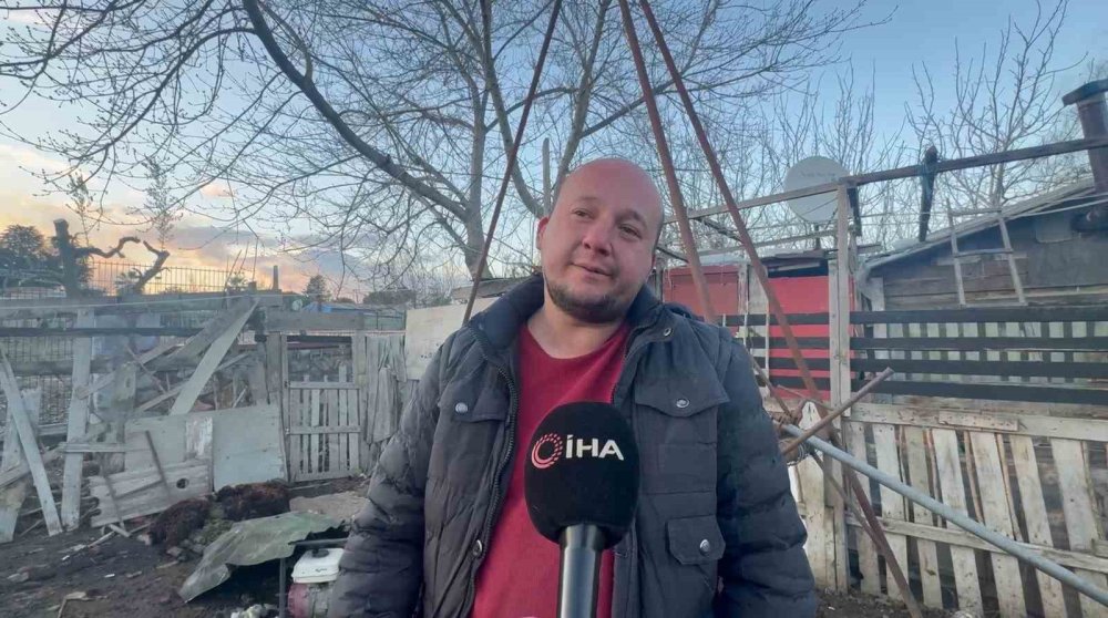 Başıboş Köpekler Çiftlikteki Koyun Ve Tavuklara Saldırdı