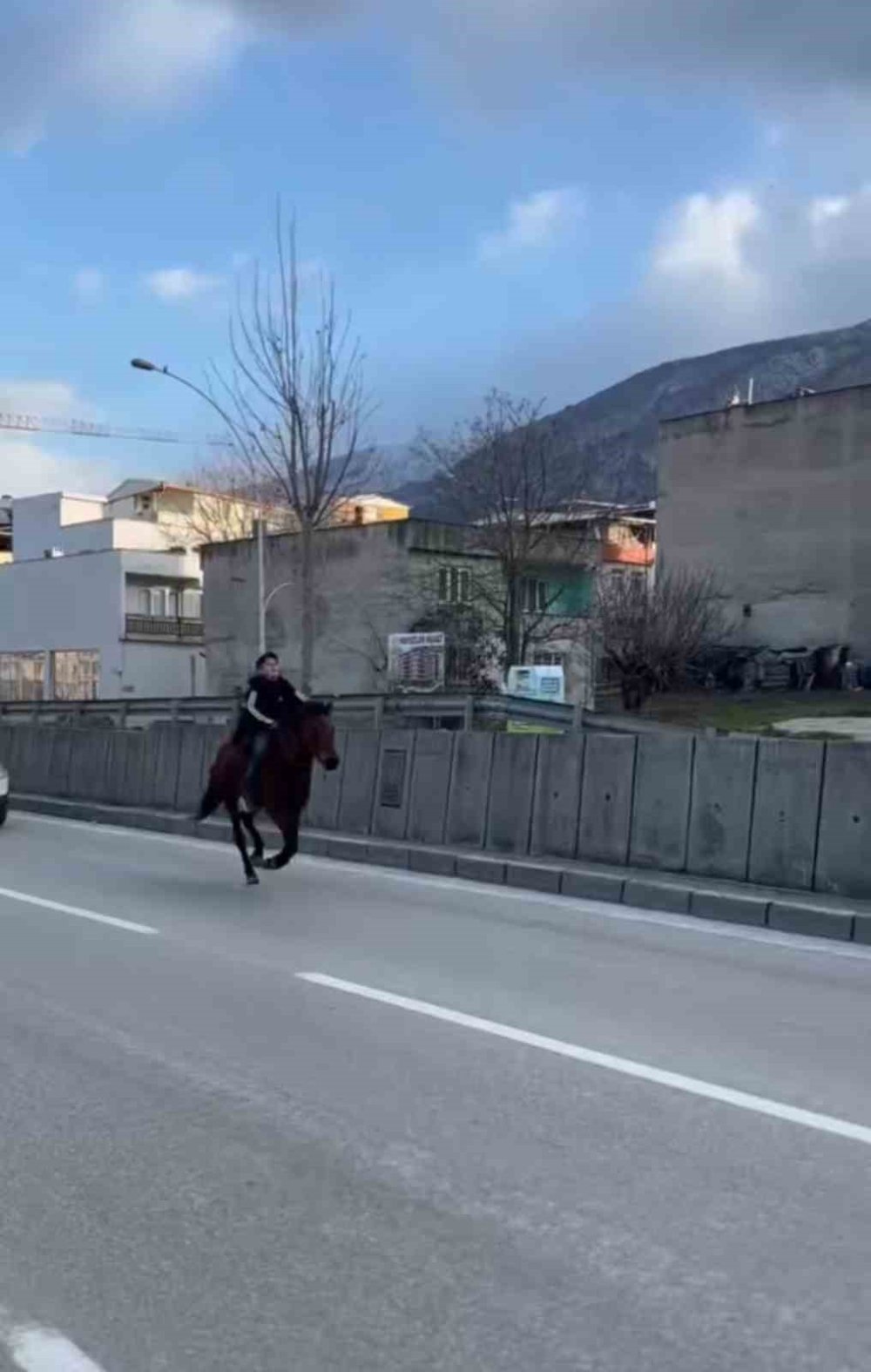 Trafiğe Atla Çıkan Genç Anayolda Dört Nala Koştu