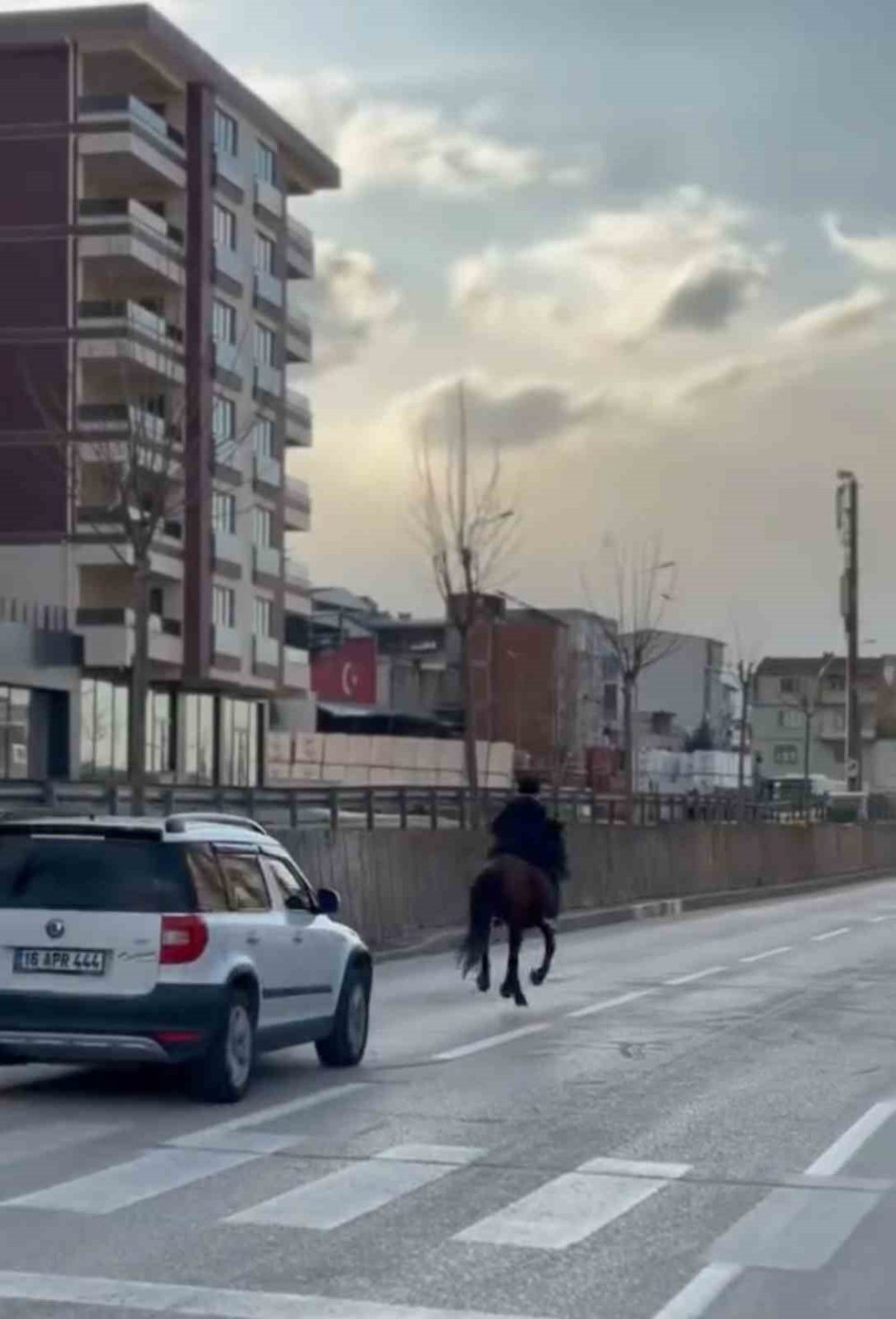 Trafiğe Atla Çıkan Genç Anayolda Dört Nala Koştu