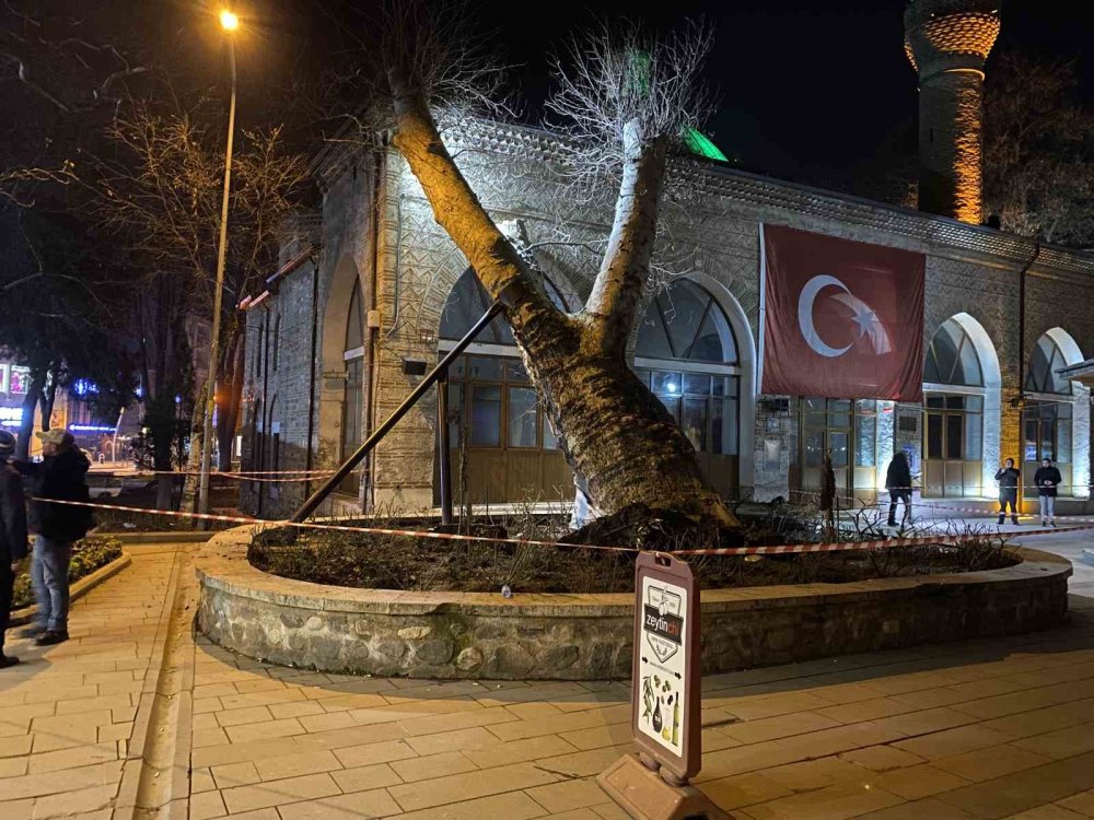 550 Yıllık Çınar, Tarihi Caminin Üzerine Devrildi