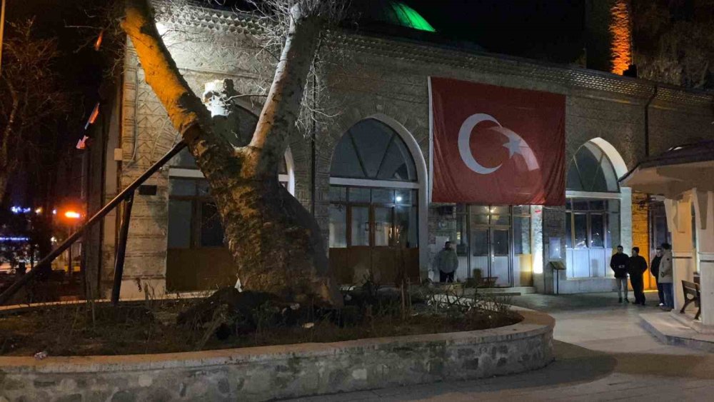 550 Yıllık Çınar, Tarihi Caminin Üzerine Devrildi