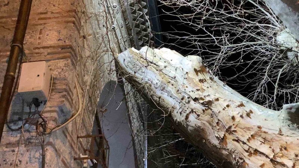550 Yıllık Çınar, Tarihi Caminin Üzerine Devrildi