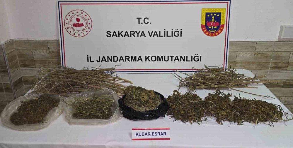 Jandarma Uyuşturucuya Geçit Vermiyor