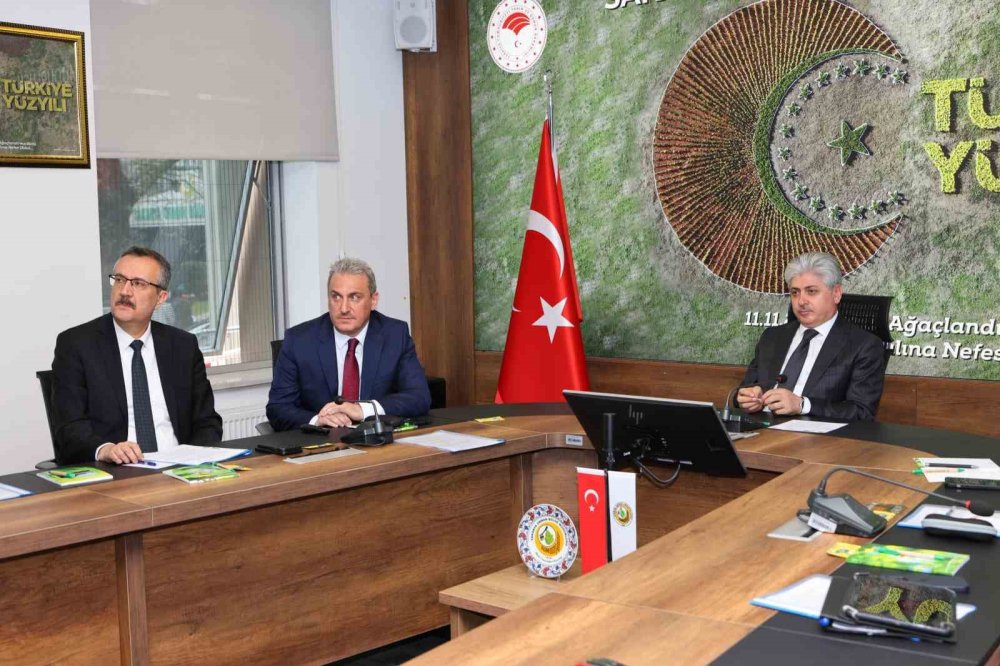 Mangal, Anız Yakma Ve Ormanlık Alanda Konaklama Yasaklandı