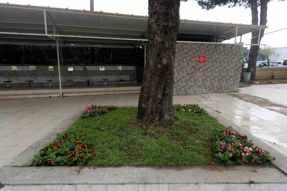Camilerde Bayram Temizliği