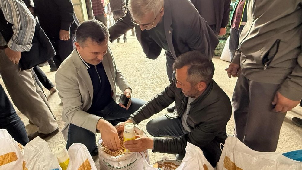 Çiftçilere Nohut Ve Aspir Tohumu Dağıtıldı