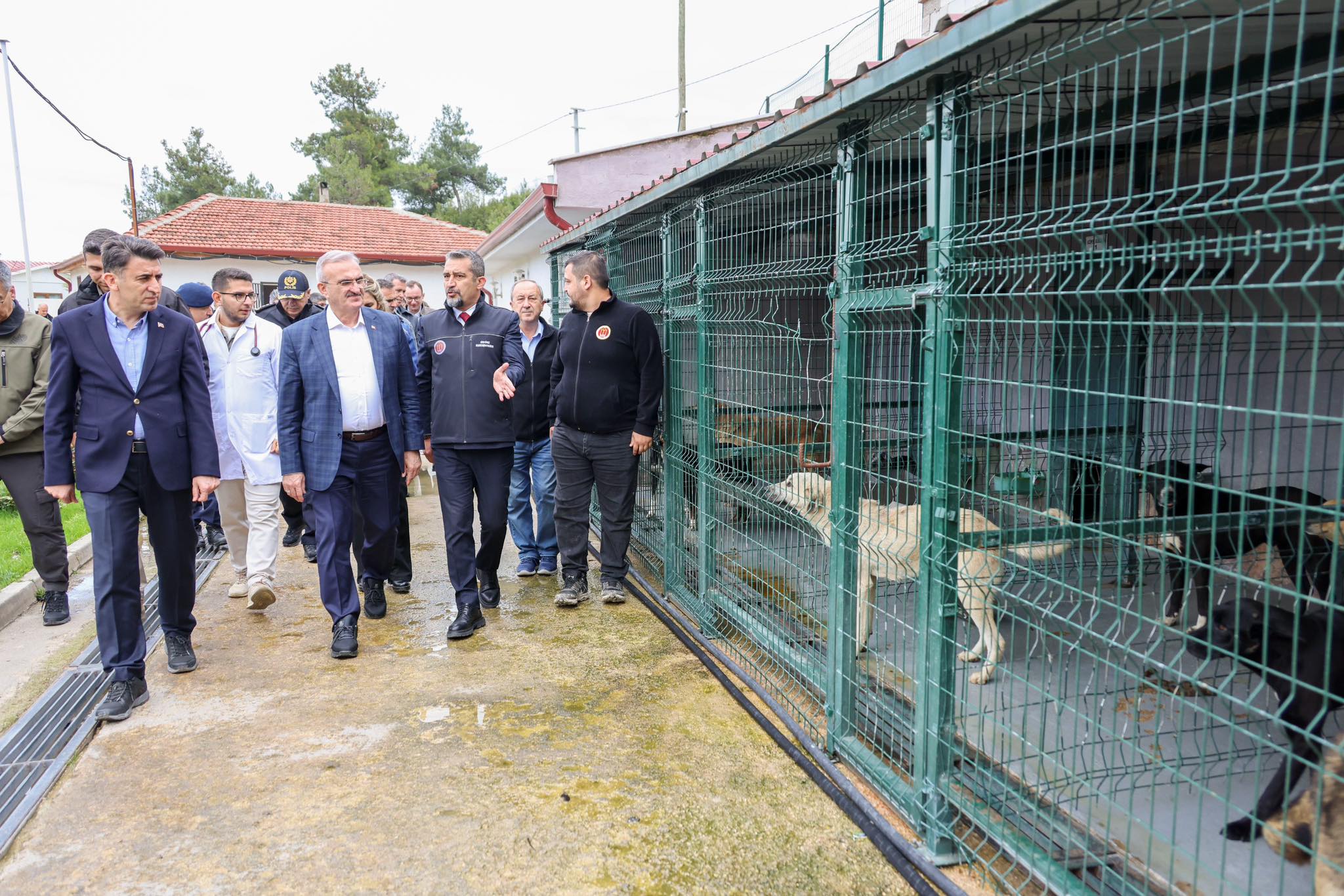 sokak-hayvanlari-masaya-yatirildi4.jpg