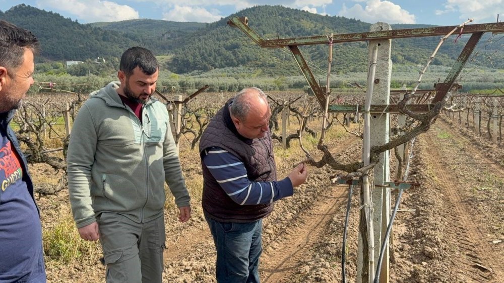 Zirai Donun Faturası Ağır Olacak