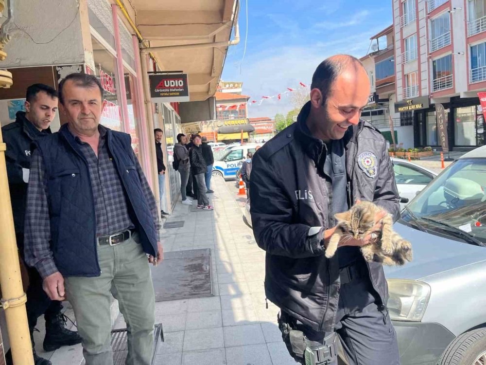 Aracın Motoruna Giren Yavru Kediyi Polis Kurtardı
