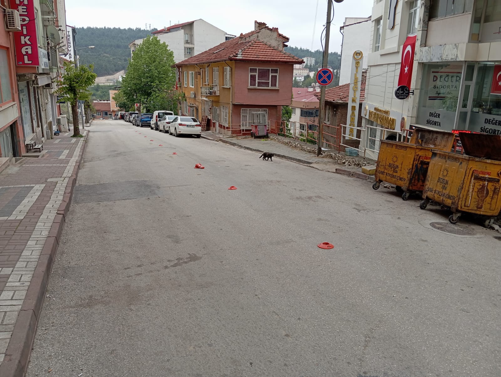 delinatorlerin-adi-kaldi-2.jpg