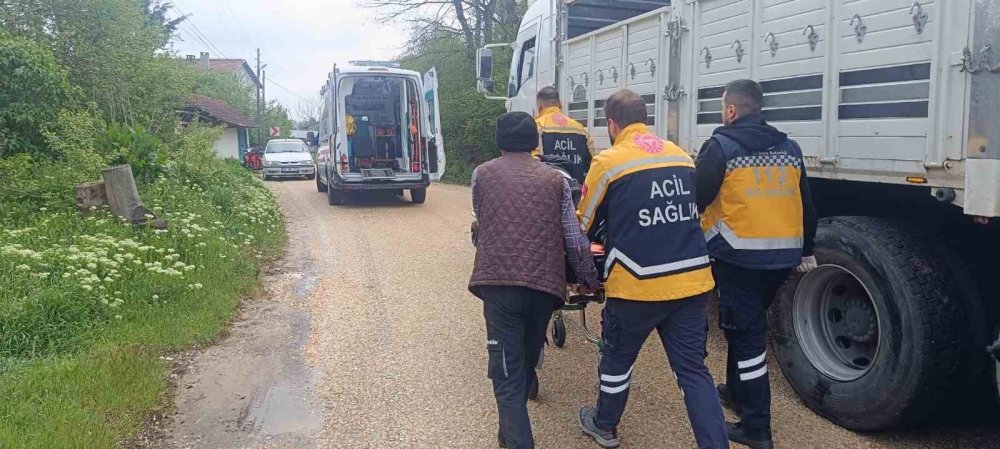Kamyonların Çarpıştığı Kazada Sürücülerden Biri Yaralandı