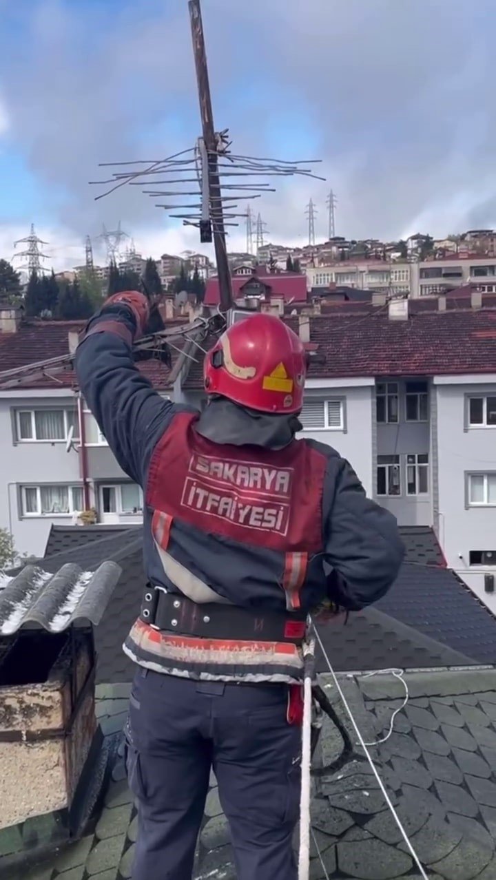 Antene Sıkışan Karga Özgürlüğüne Kavuştu