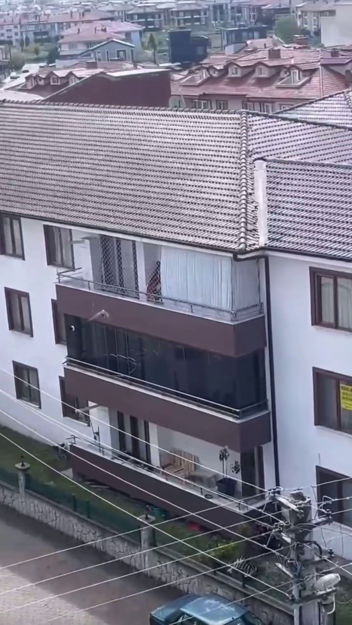 Antene Sıkışan Karga Özgürlüğüne Kavuştu