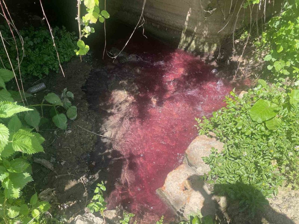 Turşu Sulu Renkli Dereye Tepki