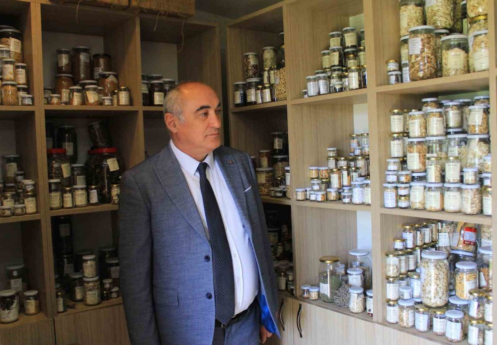 Yerel Tohum Akımı Büyüyor