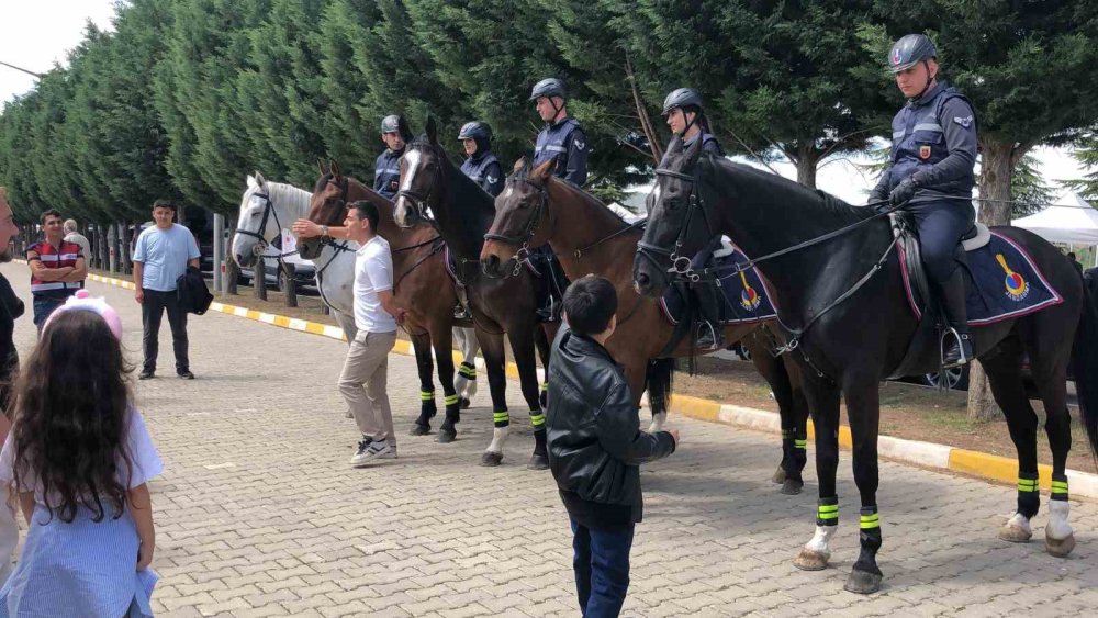 Atlı Jandarmalar, Vatandaşların İlgisini Topladı