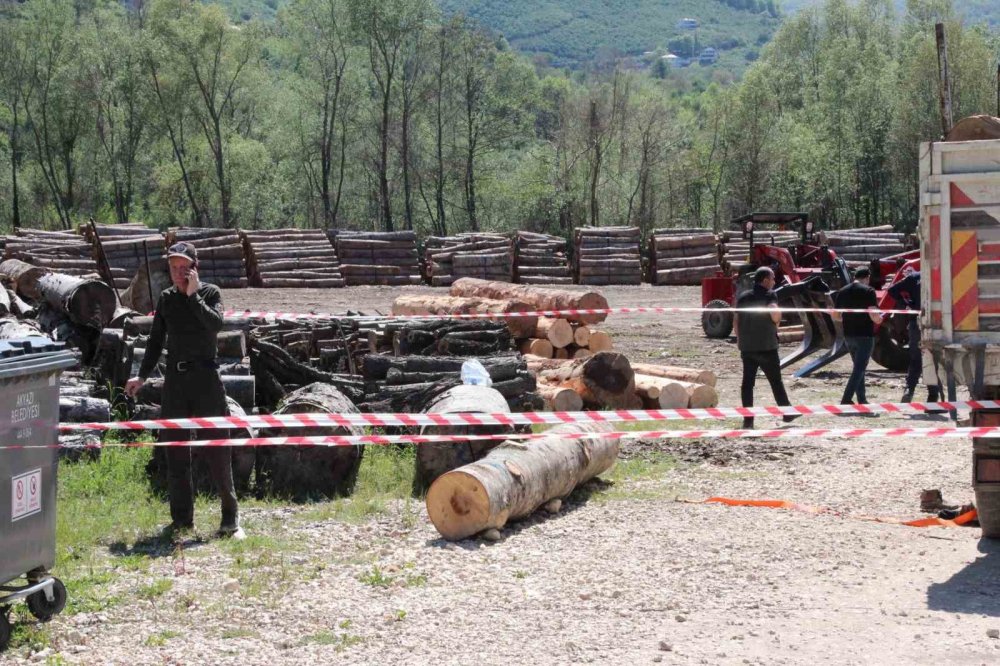 Tonlarca Tomruk Üzerine Devrildi!