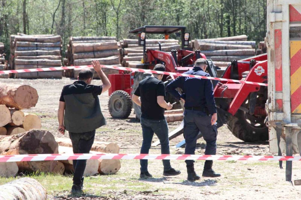 Tonlarca Tomruk Üzerine Devrildi!