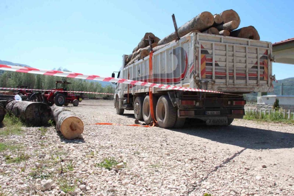 Tonlarca Tomruk Üzerine Devrildi!